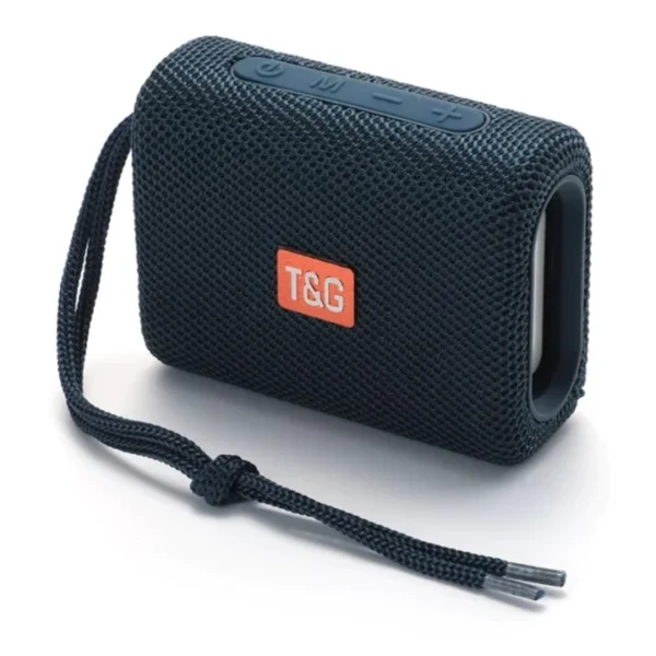Portable Wireless Speaker TG-313